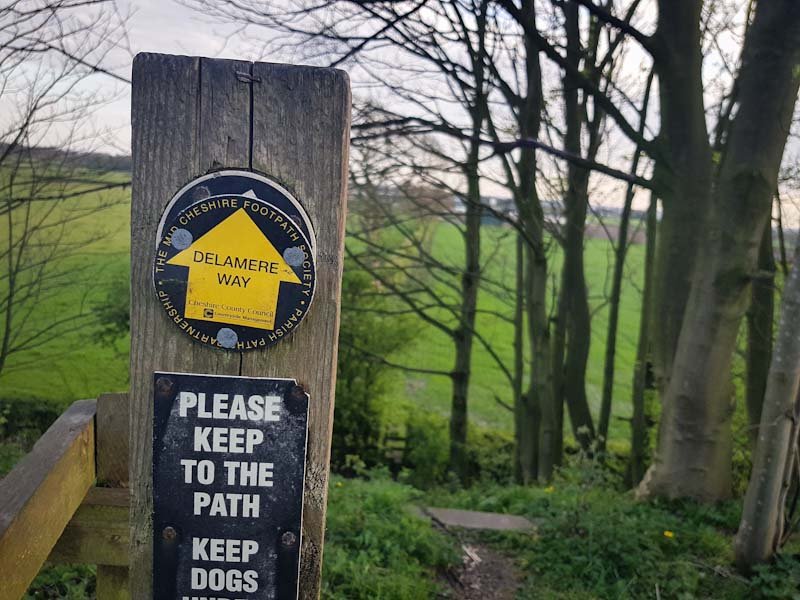 Delamere Way Yellow Way-mark