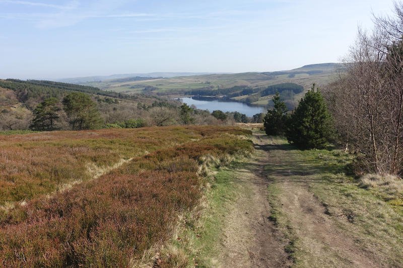 Descent To Errwood Reservoir