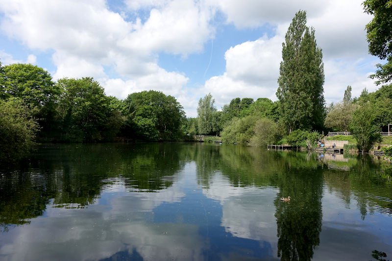 Kingfisher Lake at Greenwood Fishery